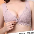 속옷나라 이미지