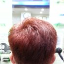 봉곡동143 이미지