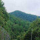 민둥산로 입구 이미지