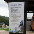 범일운수(주) | &lt;부산근교산행&gt; 백양산 임도 트레킹(구포3동 벽산3차 앞 시랑누리길 입구 ~ 다목적 임도 갈림길...