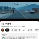하나로21세기약국 | 오늘은 땡땡이를 쳤어