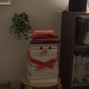 강남 누드죤빌딩 이미지