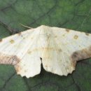 광덕4리 이미지