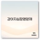웰케어동물병원 | 강아지 고양이 심장 영양제 코큐텐 웰케어 노령견 완벽 정리