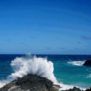 꼬독꼬독 이미지