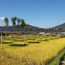 민1 태양광발전소 이미지