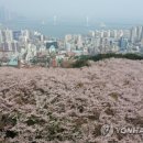 [이미연의 발로 뛰는 부동산] "아직 괜찮지만…" 부산에 `미분양 경고등` 켜질까요 이미지