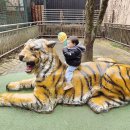 대전오월드 이미지