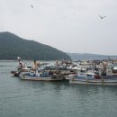 녹동항횟집 이미지