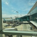 703 | 대한항공 도쿄 기내식 인천공항(INC) 도쿄 나리타(NRT) KE703 KE712 후기