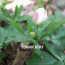 송곤목장 이미지