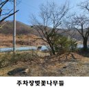 진산식당