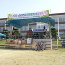 제3회 남포중학교 총동문회 체육대회 사진 이미지