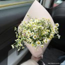 꽃집 릴리안 | 상하이 마사지, 신천지, 티엔즈팡, 홀리랜드, 상하이꽃집, 허마마트, 상하이 마트, 릴리안 베이커리 등)