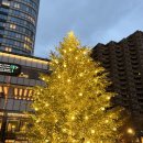 힐스 | 도쿄 아자부다이 힐스 크리스마스 마켓 후기 트리 포토존 위치 가는법