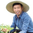 보화농장 이미지