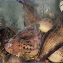 동광식당 이미지