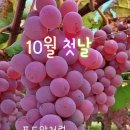 #[아침을여는지혜]-2025년 10월 1일-주요뉴스 이미지