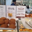 마고플레인 이미지