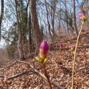 초록감투마을 이미지