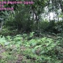 홍산2리 노인회관 이미지