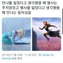 차이강 이미지