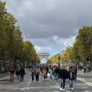 미술관옆약국 | 가족 파리여행 3일차 (오랑주리 미술관+에펠탑+바토파리지앵 후기)