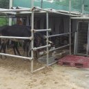 한울무역 이미지