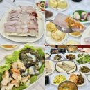 섬마을선어