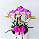 와와떡볶이 2호점 이미지