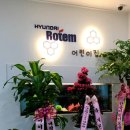 미래숲어린이집 티스토리