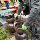 안산이농장 이미지