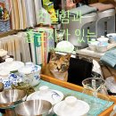중앙동231 | 중앙동 좋은차, 조용한 차 오마카세 후기