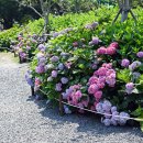 동백공원 생태 이미지