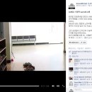 CF세탁소 이미지