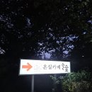 늘숲 - 남구 삼산로278번길 14 | 늘숲