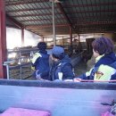 충청남도축산기술연구소 이미지