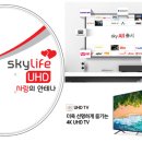 [KT스카이라이프] UHD TV 및 위성방송 지원 이벤트(11월4일까지) 이미지