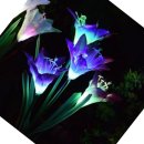 아름다운쇼핑나라 이미지