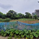 덕송부동산중개사무소 이미지