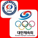 용인대 흑룡합기도 이미지