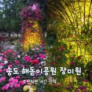 송도 해돋이공원 배드민턴장 | 인천 장미공원 로즈가든 송도 해돋이공원 장미원 야간 산책 후기