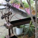 화가의정원 이미지