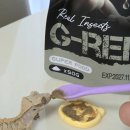 (주)녹십자 | 게코도마뱀 먹이 사료 추천! 밥 양 늘려준 녹십자 지렙 인섹트 솔직 후기