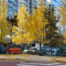 능주우체국 이미지