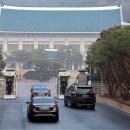 뿌리 철학A 이미지