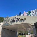 가을 억새산행 강원도 정선 민둥산 등산코스 민둥산 돌리네 후기, 민둥산 억새축제 가보자고