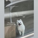 더 아름답개 이미지