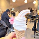 체리목장 | 폴바셋 메뉴 가격 체리블라썸 아이스크림 커피 토핑 아이스크림 후기