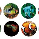 케이포닉스 이미지